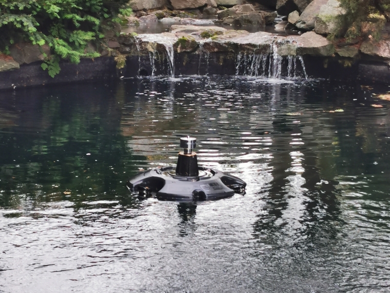 Pond and waterfall cleaning in Brentwood, Essex