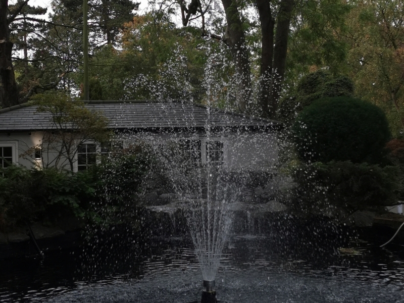 Pond and waterfall cleaning in Brentwood, Essex