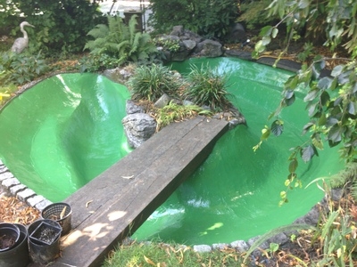 Pond cleaning and resealing in Hampstead Heath, London.