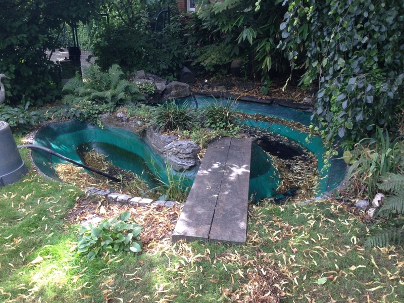 Pond cleaning and resealing in Hampstead Heath, London.