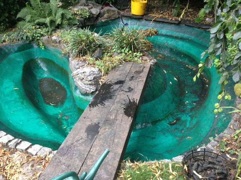 Pond cleaning and resealing in Hampstead Heath, London.