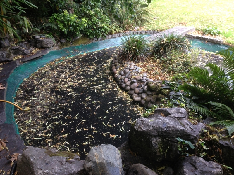 Pond cleaning and resealing in Hampstead Heath, London.