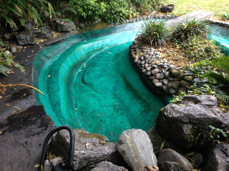 Pond cleaning and resealing in Hampstead Heath, London.