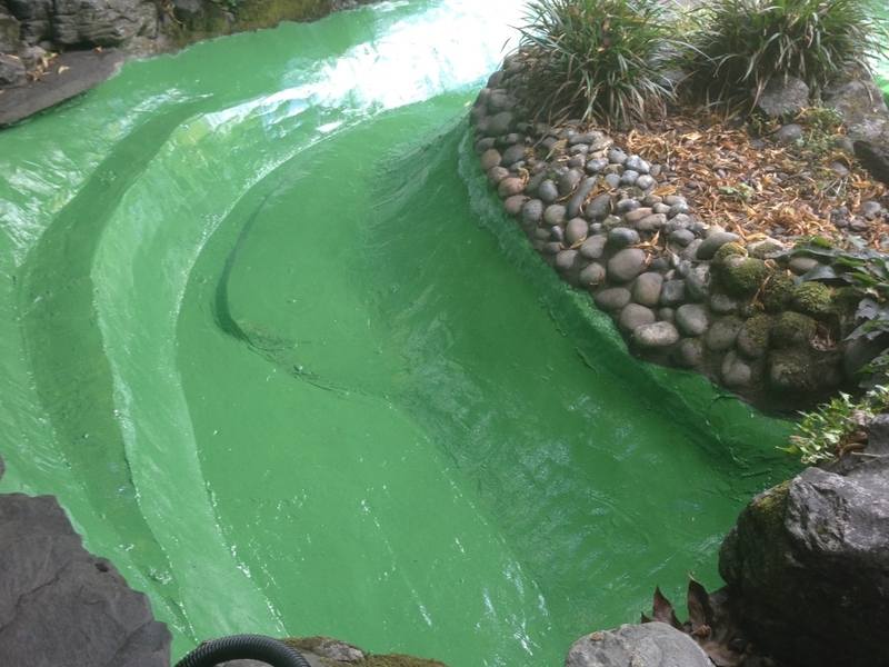 Pond cleaning and resealing in Hampstead Heath, London.