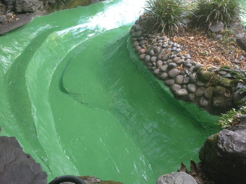 Pond cleaning and resealing in Hampstead Heath, London.