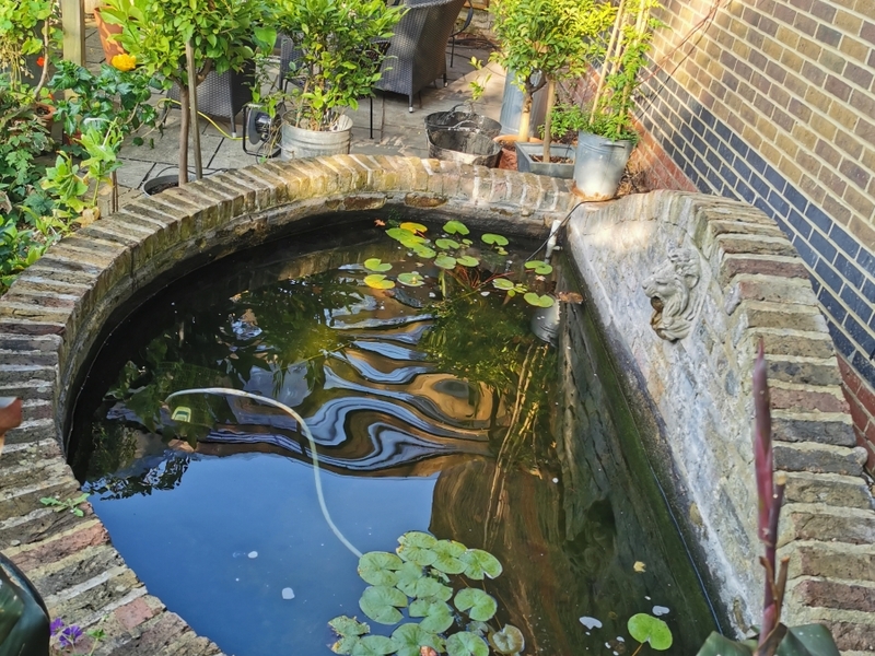 Urban garden pond resealing with impermax liquid rubber paint in Dalston, London.