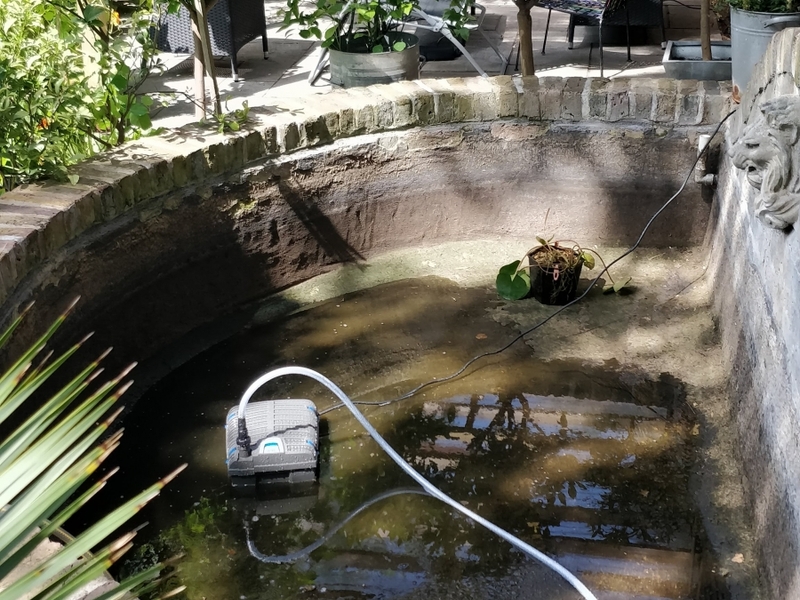 Urban garden pond resealing with impermax liquid rubber paint in Dalston, London.