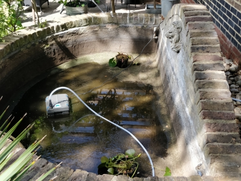 Urban garden pond resealing with impermax liquid rubber paint in Dalston, London.