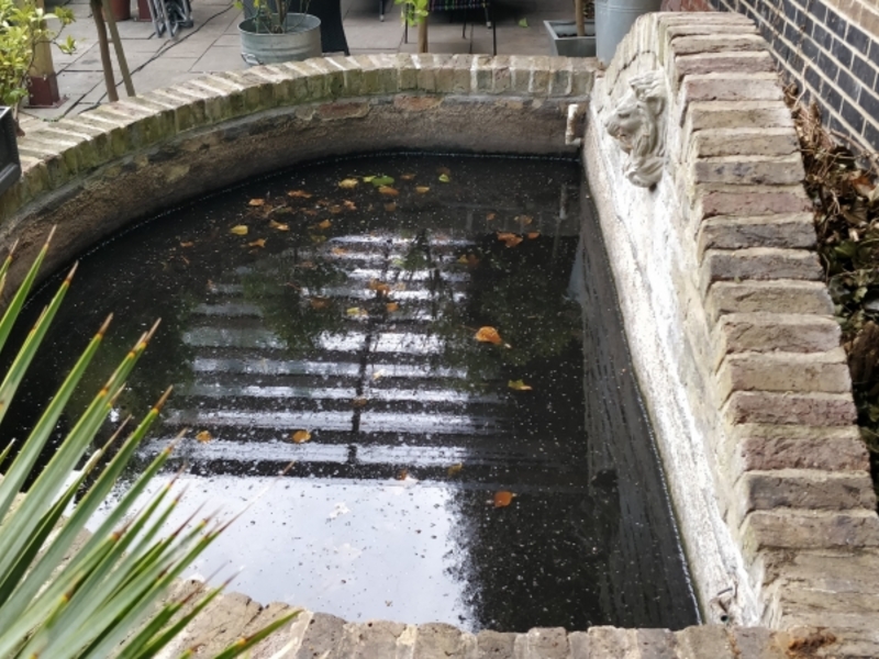 Urban garden pond resealing with impermax liquid rubber paint in Dalston, London.