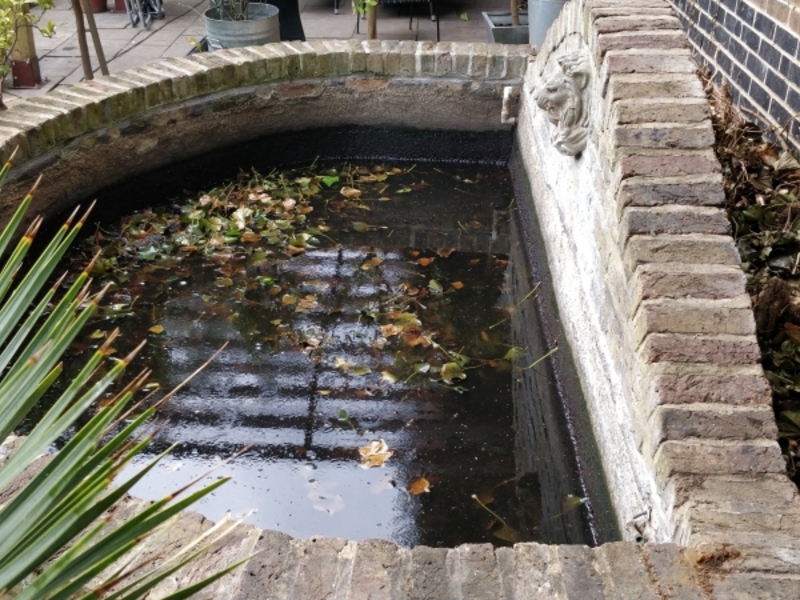 Urban garden pond resealing with impermax liquid rubber paint in Dalston, London.