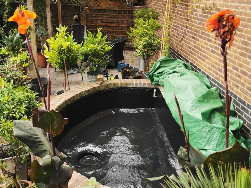 Urban garden pond resealing with impermax liquid rubber paint in Dalston, London.