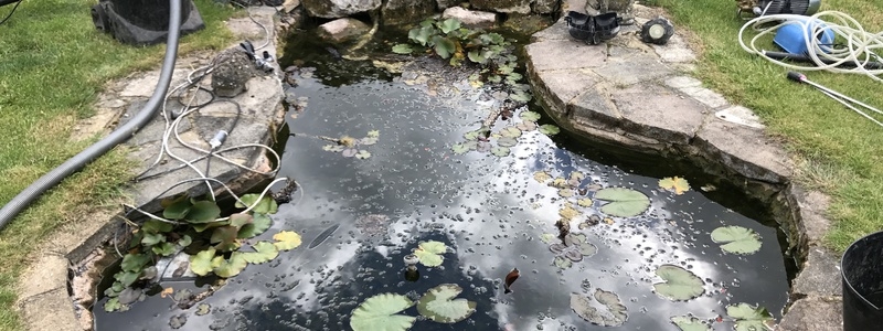 Pond clean in Highgate, London