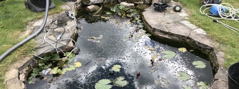 Pond clean in Highgate, London Pond clean in Highgate, London