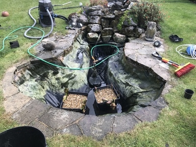 Pond clean in Highgate, London