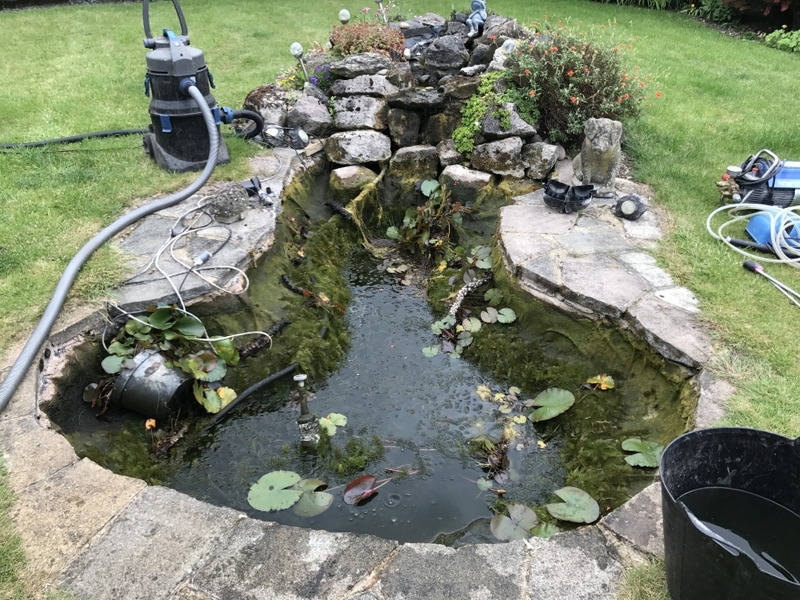 Pond clean in Highgate, London