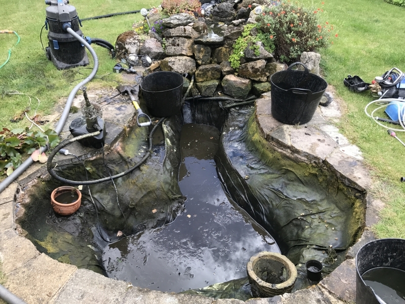 Pond clean in Highgate, London