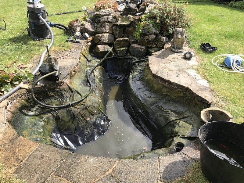 Pond clean in Highgate, London