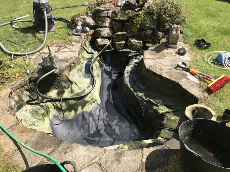 Pond clean in Highgate, London