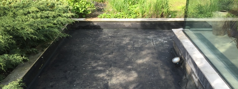Pond clean in Putney, London Pond clean in Putney, London