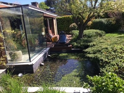 Pond clean in Putney, London