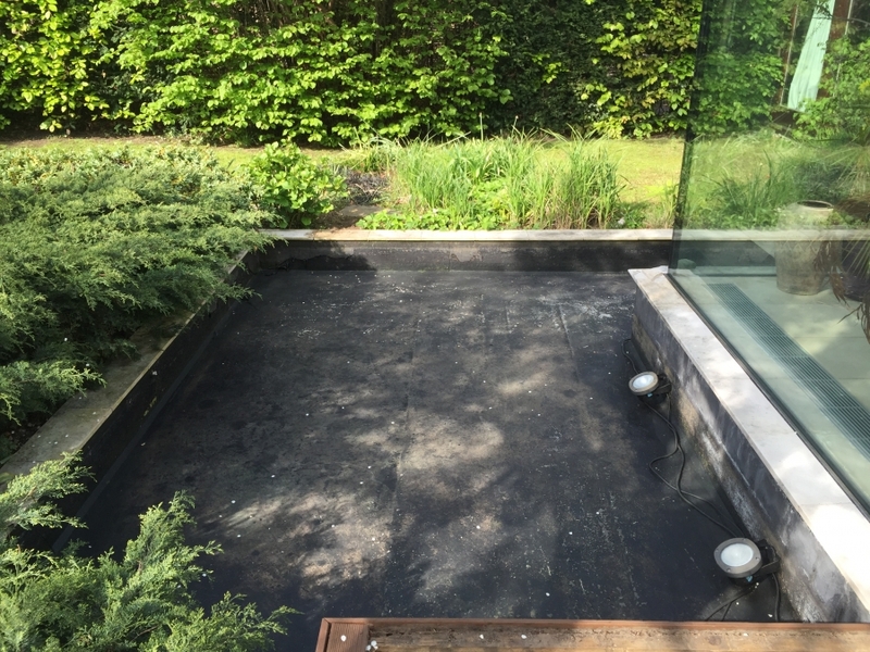 Pond clean in Putney, London