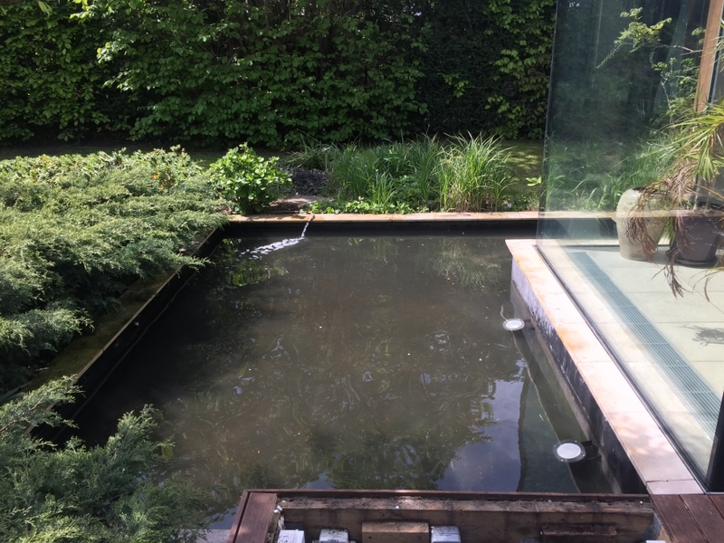 Pond clean in Putney, London