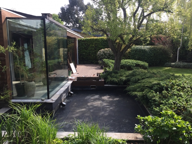 Pond clean in Putney, London