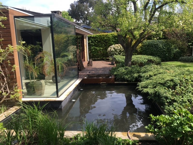 Pond clean in Putney, London