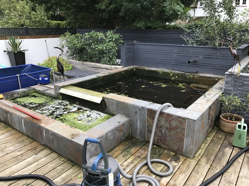 Pond clean and resealing in Royston, Hertfordshire