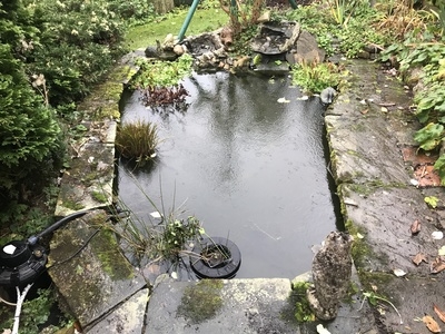 Pond clean in Nazeing, Essex