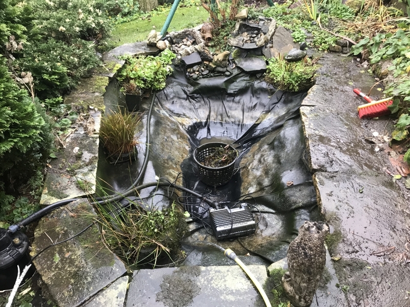 Pond clean in Nazeing, Essex