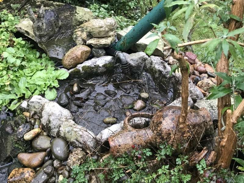 Pond clean in Nazeing, Essex