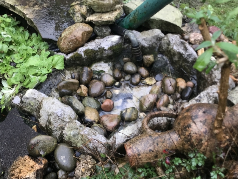 Pond clean in Nazeing, Essex