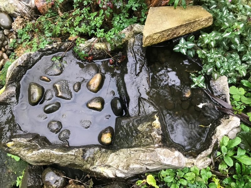 Pond clean in Nazeing, Essex