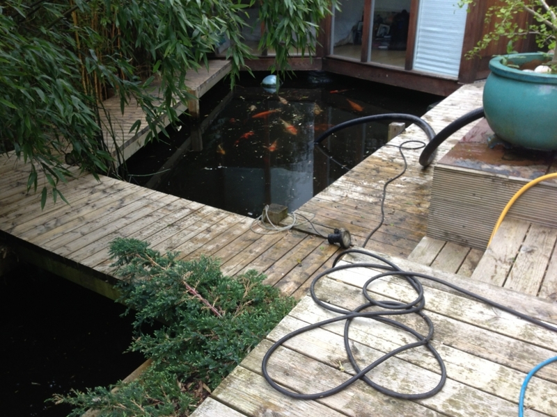 Alexander Palace, London pond clean and LED light install