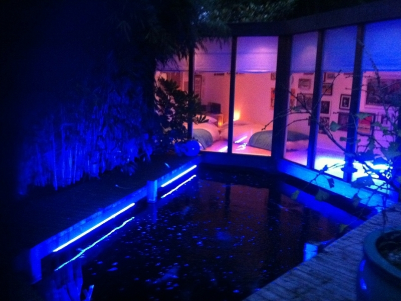 Alexander Palace, London pond clean and LED light install