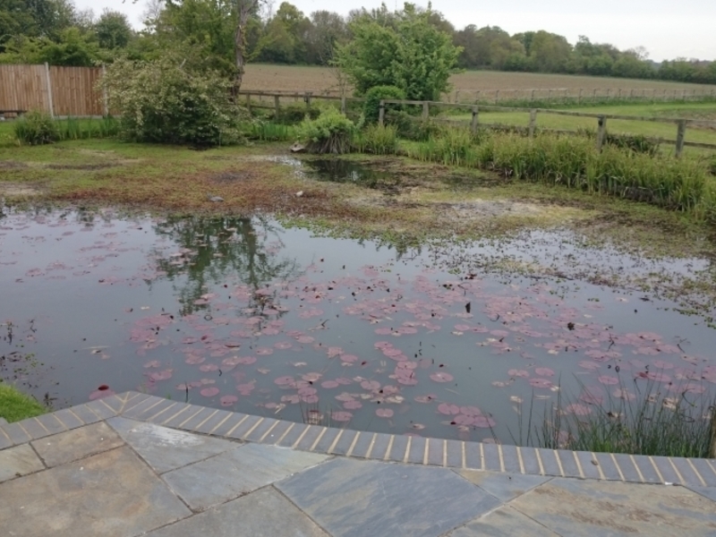 Ongar, Essex weed removal and fountain install