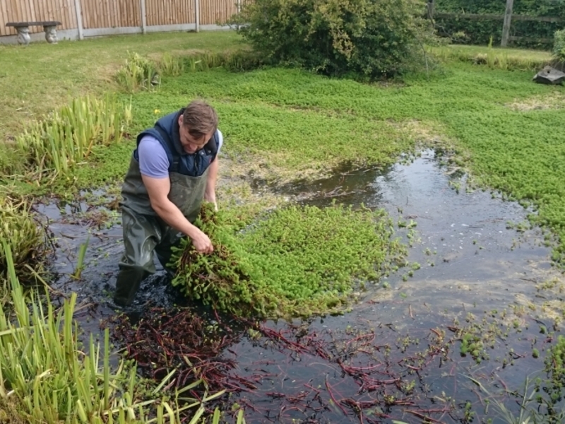 Ongar, Essex weed removal and fountain install