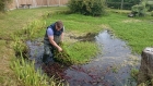 Ongar, Essex weed removal and fountain install