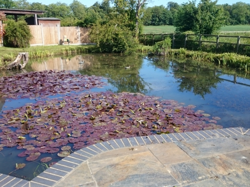 Ongar, Essex weed removal and fountain install