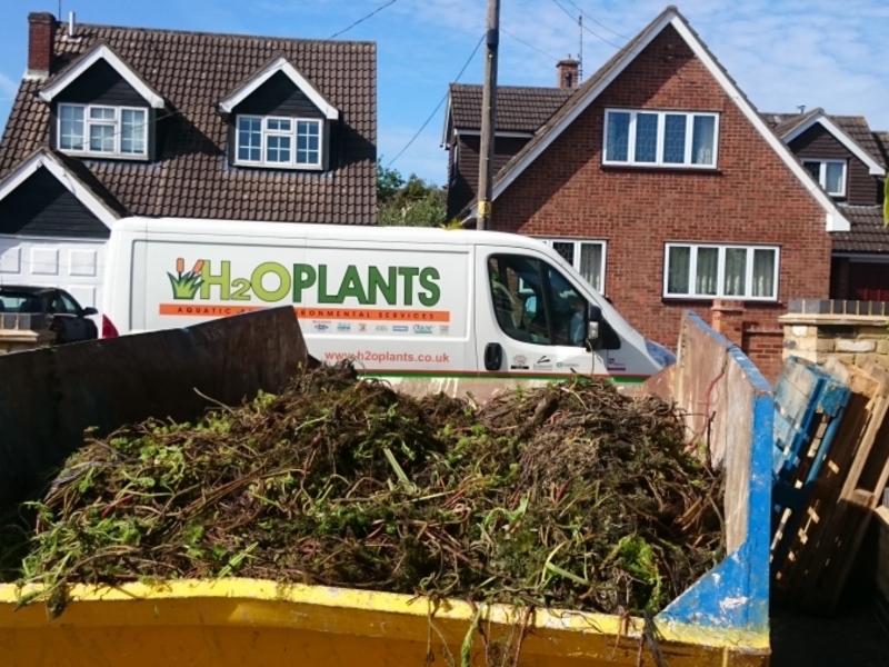 Ongar, Essex weed removal and fountain install