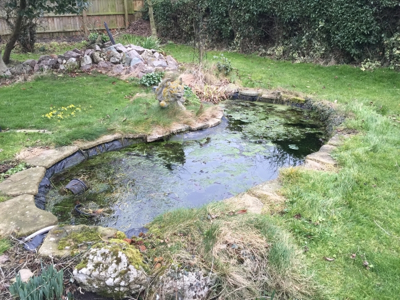 Erith Cambridgeshire pond clean