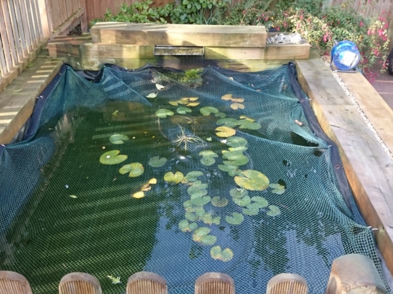 Loughton Essex pond clean