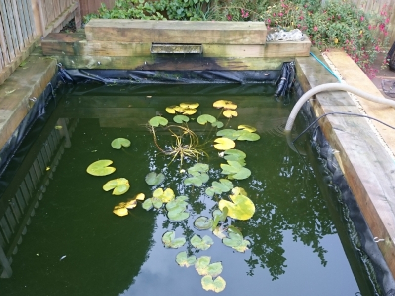 Loughton Essex pond clean