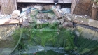 Stevenage Hertfordshire pond and waterfall clean