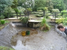 Great Hallingbury Essex pond clean