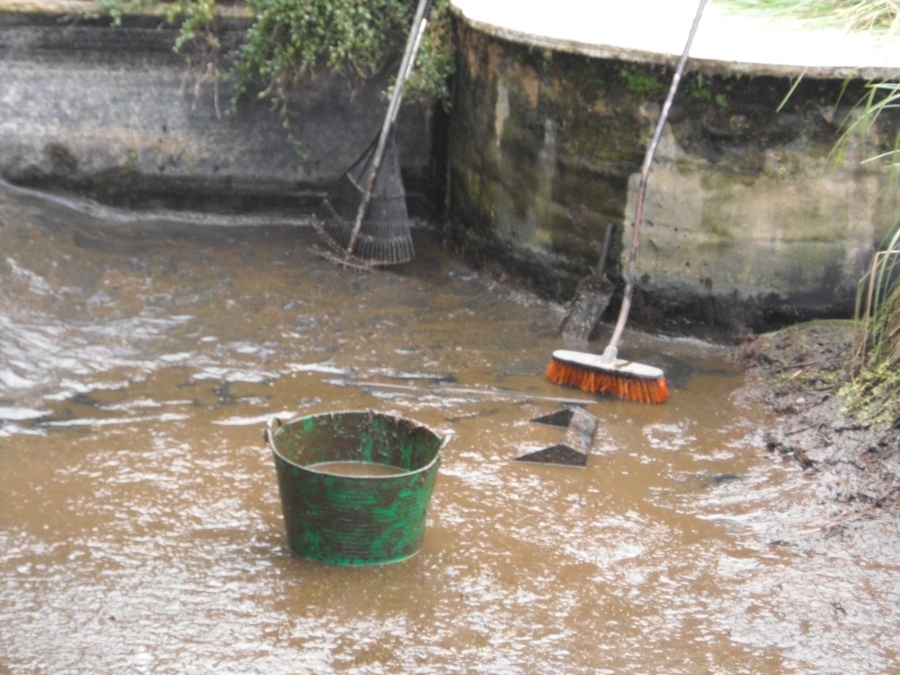 Great Hallingbury Essex pond clean