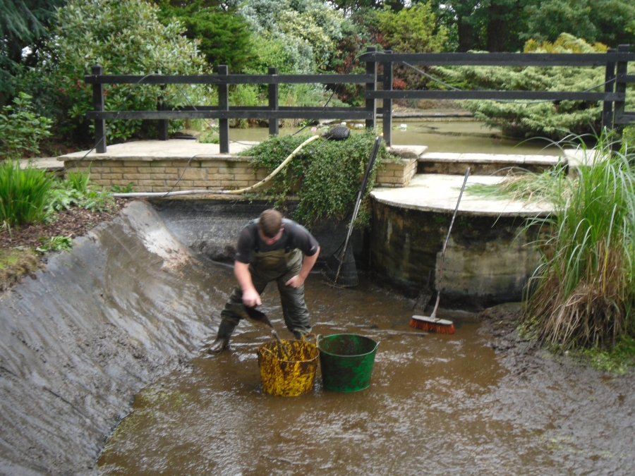 Great Hallingbury Essex pond clean