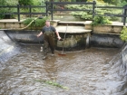 Great Hallingbury Essex pond clean