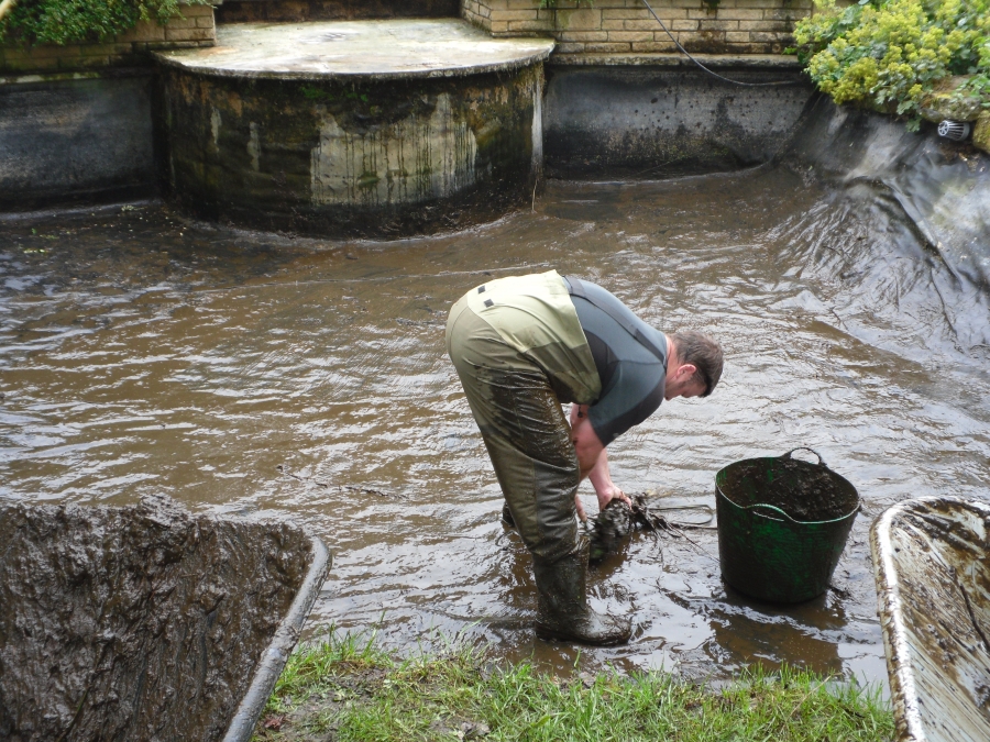 Great Hallingbury Essex pond clean